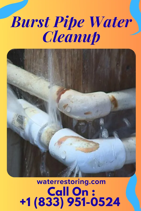 Burst Pipe Water Cleanup in St. Clair, PA