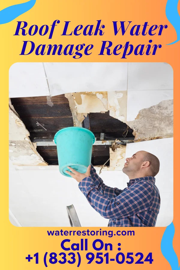 Roof Leak Water Damage Repair in St. Clair, PA